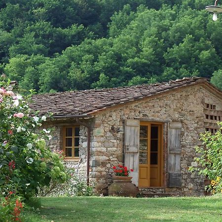Villa Bottino By Salogi Villas San Martino in Freddana المظهر الخارجي الصورة