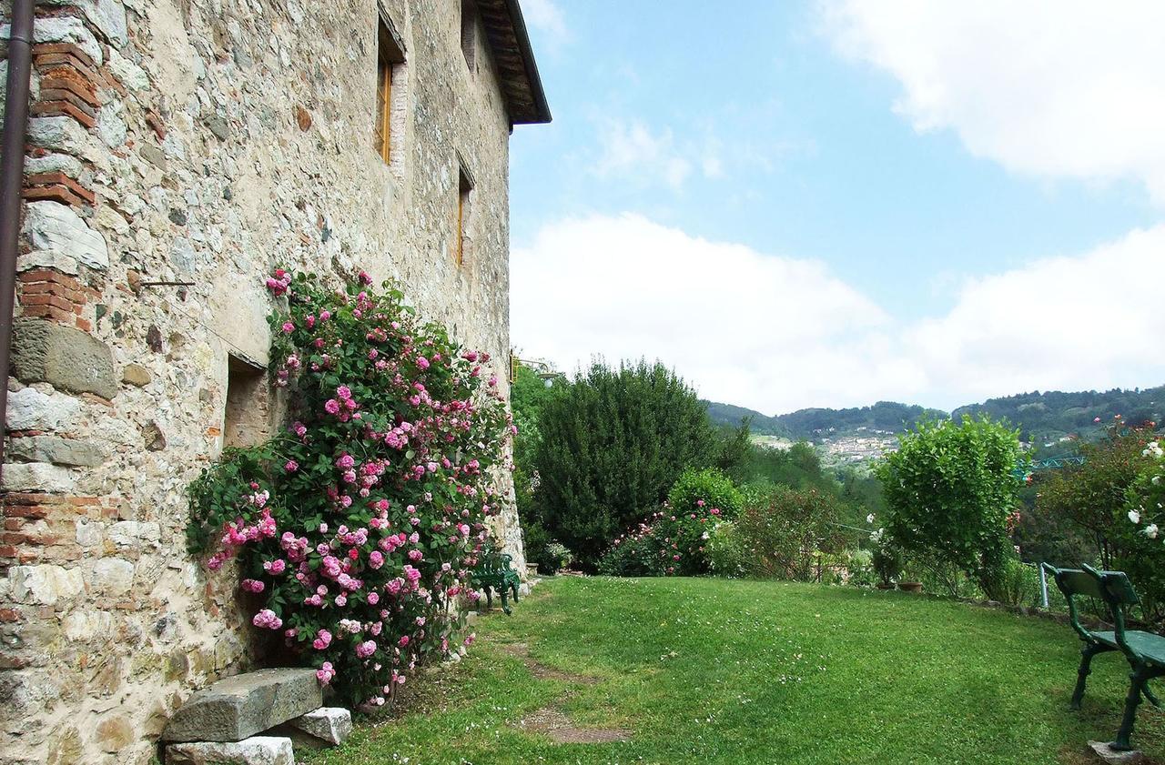 Villa Bottino By Salogi Villas San Martino in Freddana المظهر الخارجي الصورة